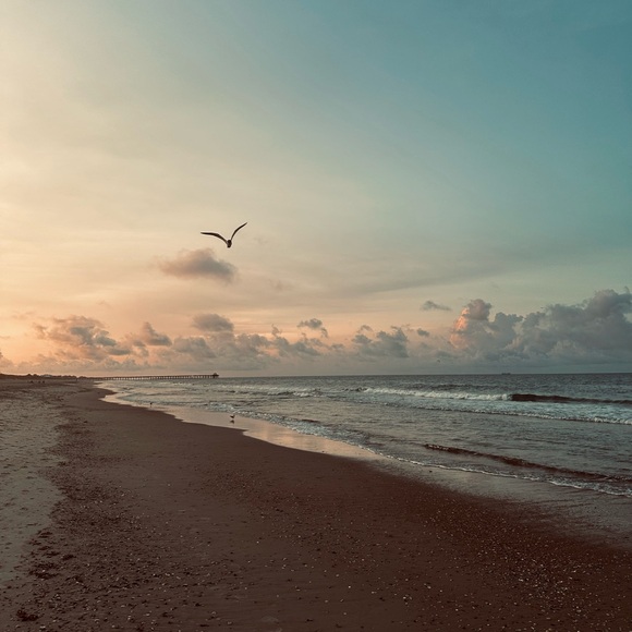 Meet your Posher, Julia - Picture 1 of 1